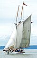 Adventuress Under Sail