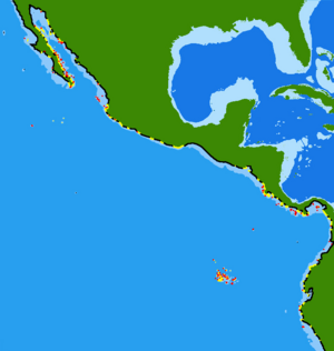 Alphestes immaculatus range.png