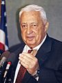 Ariel Sharon, by Jim Wallace (Smithsonian Institution)