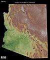Arizona Relief NED