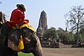 Ayutthaya, Elephant festival, Thailand