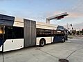 BRT Bus in Junction Station