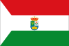 Flag of Fuente Vaqueros
