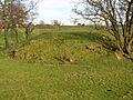 Beith Court Hill 1