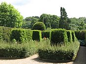 Belsay Hall - the Yew Garden - geograph.org.uk - 1479560