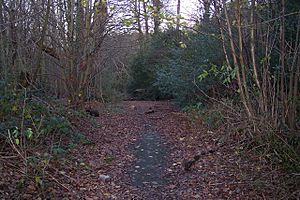 Blackhurst Lane (2) - geograph.org.uk - 1610790.jpg
