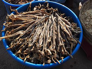 Bombay Duck dried for sale