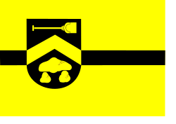 Borger-Odoorn vlag