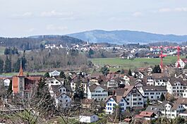 Bubikon - Pfannenstiel - Laufenbach (Rüti) IMG 4631.JPG