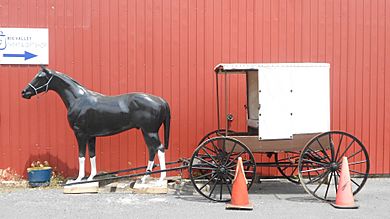 Buggy model horse Belleville PA