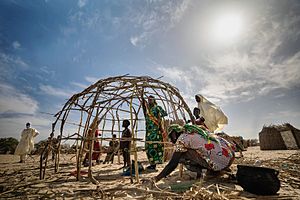 Building a house in lake Chad region.jpg