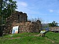 CadzowCastle03