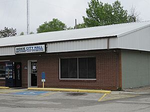 City Hall Hoxie AR 2013-04-27 001