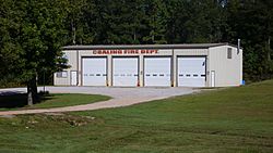 The Fire Department Building in Coaling, Alabama
