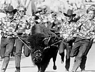 Colorado Ralphie I