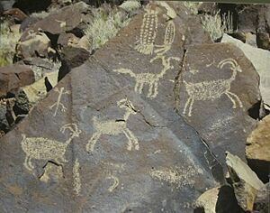 Coso petroglyphs (1)