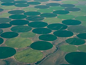Crop circles along the Columbia, Washington, USA