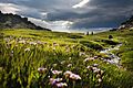 Dasht-mishan
