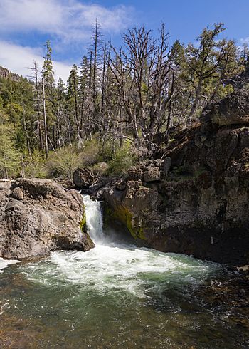 Deer Creek Falls, Lassen National Forest-2193.jpg