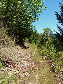 Photograph of a trail travelling laterally along a steep mountain side, paralleling a shallow, weathered trench