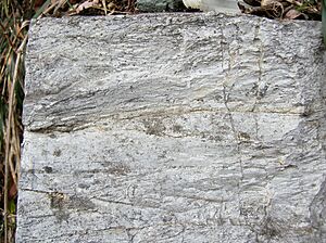 Dolomite rock01