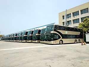 E12DD buses at Depot, 20180610 111448