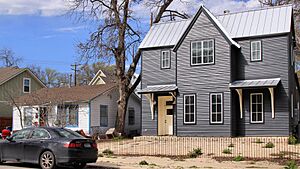 East Austin Gentrification Holly St 2018
