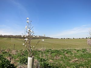 Farmland near Winterbourne (geograph 4920478).jpg