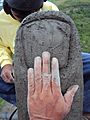 Finger nail of the statue