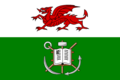 Flag of Swansea University
