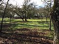 Fulton Cemetery, Fulton, California