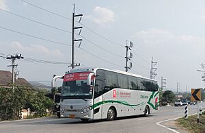 GREEN BUS Chiang Mai Bus (1)