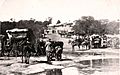 Gezicht op een rivieroever met paardenkarren bij Kroonstad, Zuid-Afrika History Recorders and History Makers, Correspondents' Carts waiting Lord Roberts' entry to Kroonstadt, S.A., crop