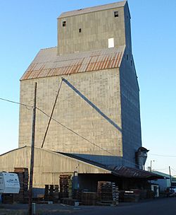 Grass seed elevator in Halsey