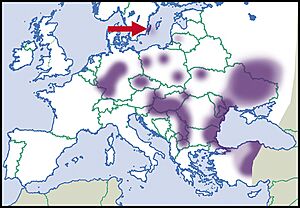 Helicopsis-striata-map-eur-nm-moll