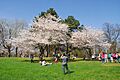 High Park, Toronto DSC 0129 (17207727609)