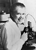 Honor Fell at her microscope in the 1950s