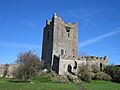 IMG ClononyCastle5782w