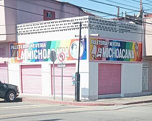 La Michoacana, Zona Norte, Tijuana
