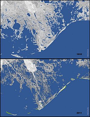 Land loss in coastal Louisiana since 1932 NOAA2013