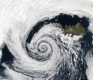 Tropical cyclones in 2024 - Wikipedia