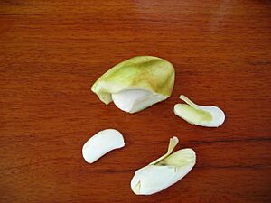 Mango kernels