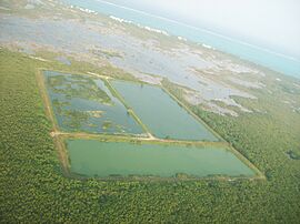 Manmade ponds near San Pedro - panoramio