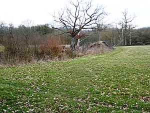 Marden Meadow 4.jpg