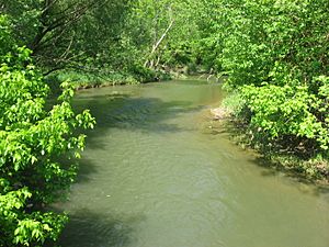 Massie's Creek in the Indian Mound Reserve