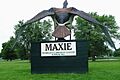 Maxie the goose 1