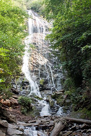 Mingo Falls 2009.jpg