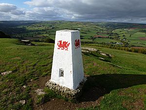 Mynydd Illtud Powys Twyn y Gaer HenSne 02 trig point