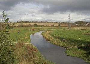North over Bowthorpe Marsh Nature Reserve - geograph.org.uk - 610657