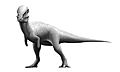 Pachycephalosaurus Reconstruction